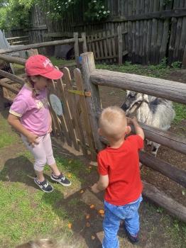 IMG_1861.jpeg