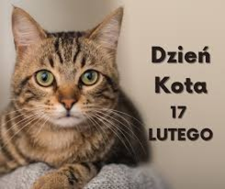 DZIEŃ KOTA 